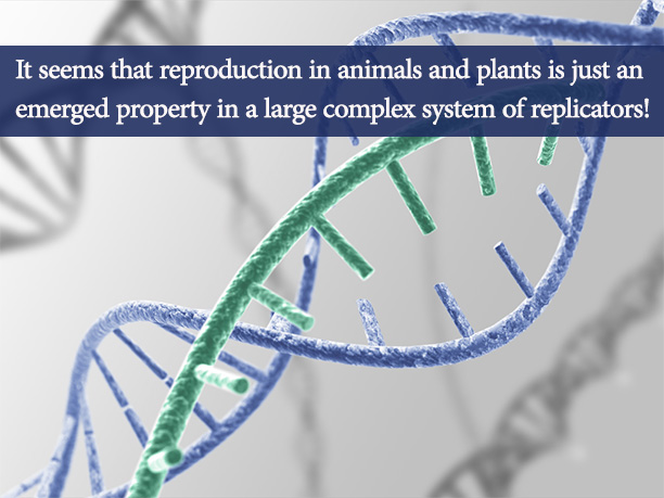 Replicate vs. Reproduce | The Difference Between Replication and ...