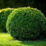 What is evergreen content and how you can leverage it in your content strategy?